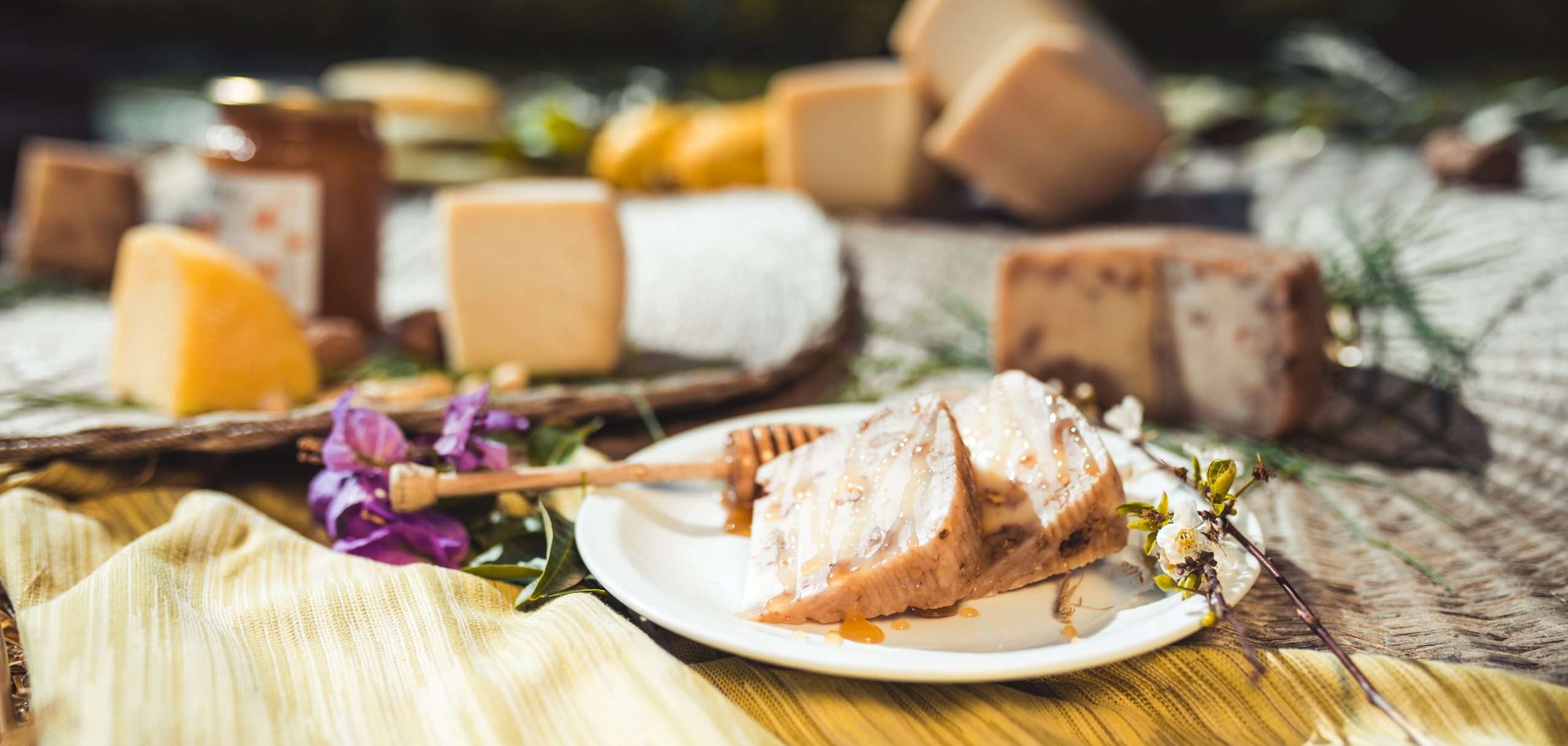 Käse kaufen online – Genuss aus Tirol bequem nach Hause bestellen